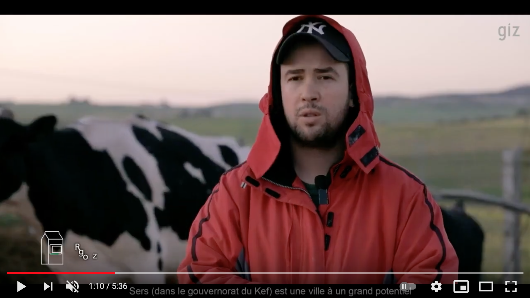 Ein Mann steht auf einer Wiese mit Kühen.
