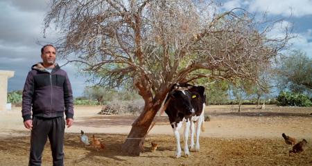 New start as a livestock breeder in Tunisia