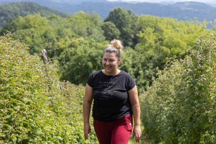 امرأة تمشي عبر حقل نباتات التوت. يمكن رؤية التلال في الخلفية.